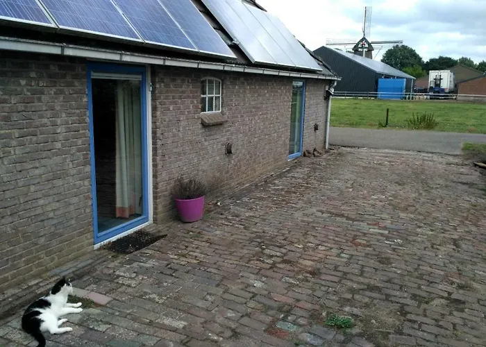 Logeerruimte In Gerenoveerde Boerderij In Wachtum
