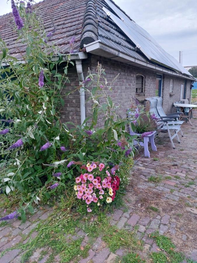 Apartment Logeerruimte In Gerenoveerde Boerderij In *