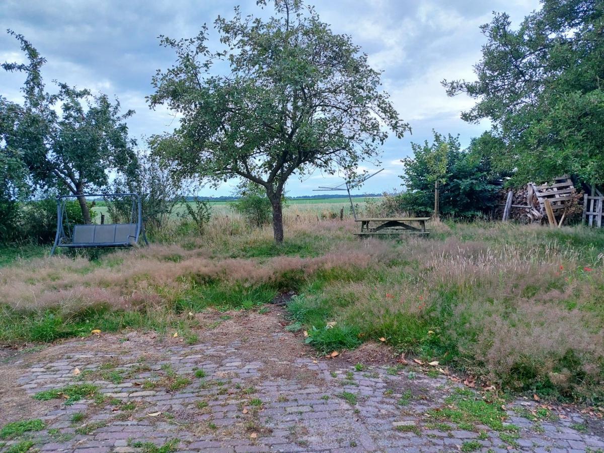 Logeerruimte In Gerenoveerde Boerderij In * Wachtum