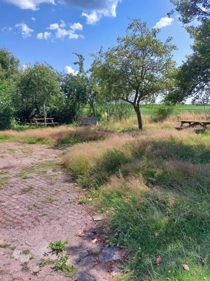 Logeerruimte In Gerenoveerde Boerderij In *