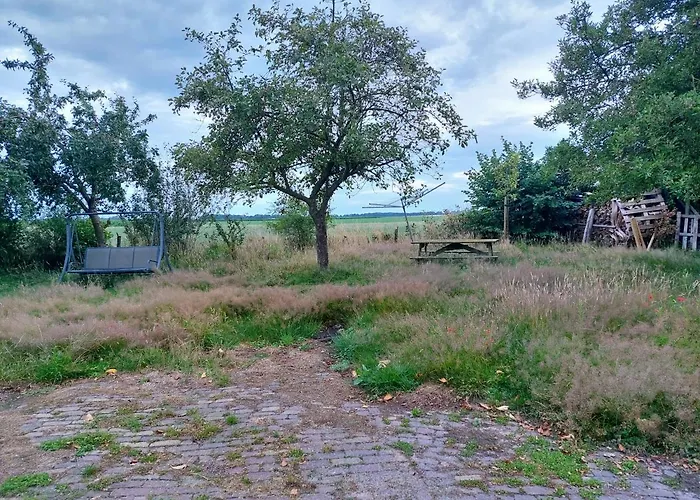 Logeerruimte In Gerenoveerde Boerderij In Wachtum